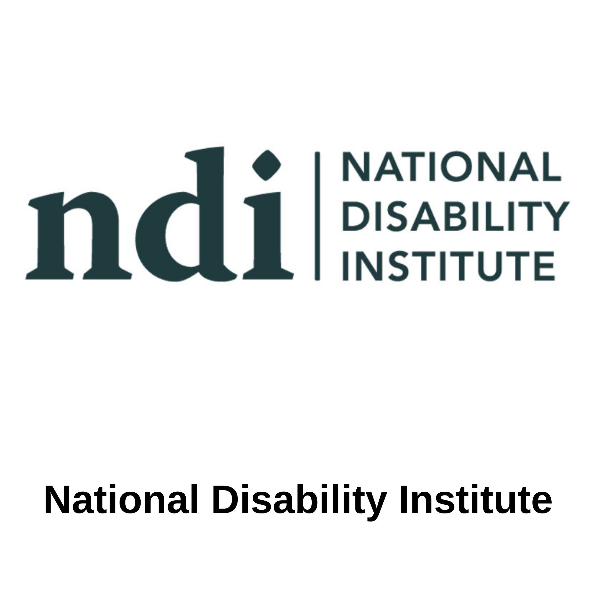 National-Disability-Institute.png